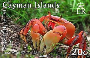 Land crab