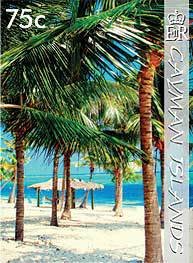 Cayman Islands landscape