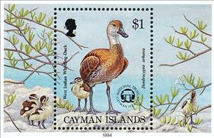 Souvenir Sheet, West Indian Whistling Duck (Dendrocygna arborea), Cayman Islands,  , Birds, Ducks, Animals (Fauna)