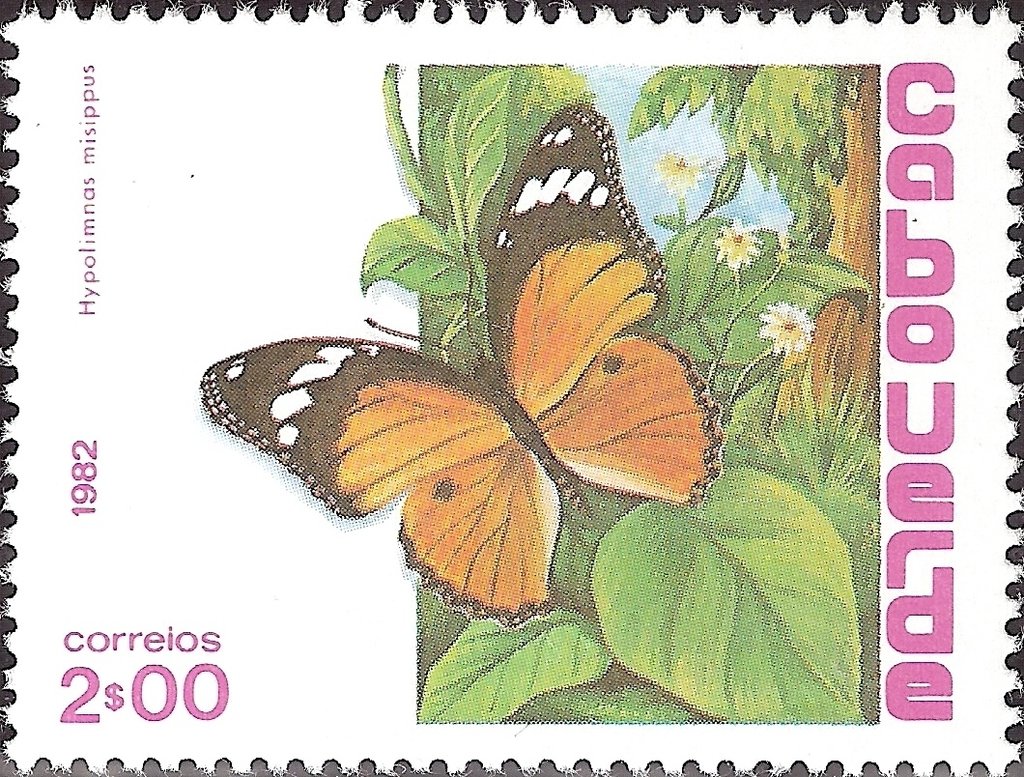 Danaid Eggfly (Hypolimnas misippus)