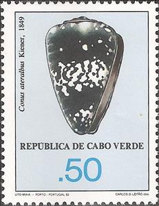 Stamp, Cone Snail (Conus ateralbus) , Cabo Verde,  , Shells