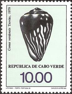 Stamp, Cone Snail (Conus verdensis), Cabo Verde,  , Shells