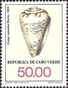 Stamp, Cone Snail (Conus cuneolus), Cabo Verde,  , Shells