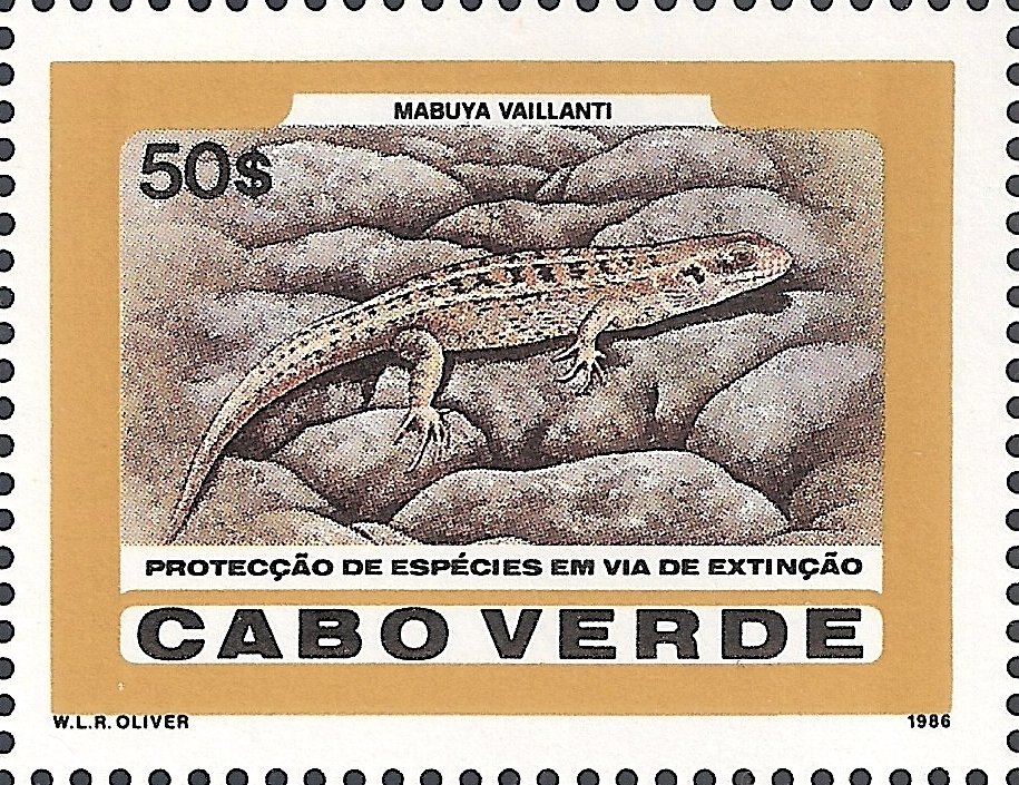 Vaillant's Mabuya (Mabuya vaillanti) 
