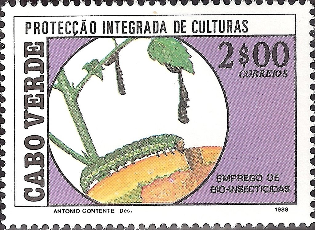 African Armyworm (Spodoptera exempta)
