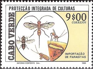 Stamp, Insects (Chelonus maculatus), (Sericopimpla sericata), Cabo Verde,  , Insects, Agriculture, Animals (Fauna)