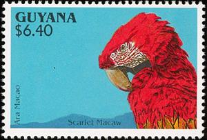 Stamp, Scarlet Macaw (Ara macao), Guyana,  , Birds, Parrots, Animals (Fauna)