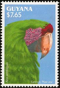 Stamp, Great Green Macaw (Ara ambigua) , Guyana,  , Birds, Parrots, Animals (Fauna)