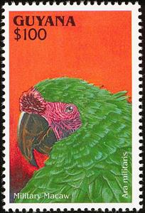 Stamp, Military Macaw (Ara militaris), Guyana,  , Birds, Parrots, Animals (Fauna)
