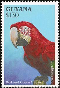 Stamp, Red-and-green Macaw (Ara chloroptera), Guyana,  , Birds, Parrots, Animals (Fauna)