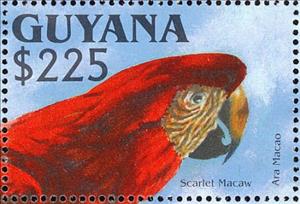Stamp, Scarlet Macaw (Ara macao), Guyana,  , Birds, Parrots, Animals (Fauna)