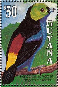 Stamp, Paradise Tanager (Tangara chilensis), Guyana,  , Birds, Animals (Fauna)