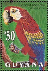 Stamp, Scarlet Macaw (Ara macao), Guyana,  , Birds, Animals (Fauna)