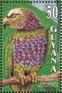 Stamp, Red-fan Parrot (Deroptyus accipitrinus), Guyana,  , Birds, Animals (Fauna)