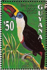 Stamp, White-throated Toucan (Ramphastos tucanus), Guyana,  , Birds, Animals (Fauna), Toucans