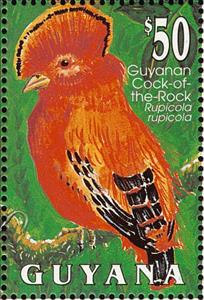 Stamp, Guianan Cock-of-the-rock (Rupicola rupicola), Guyana,  , Birds, Animals (Fauna)