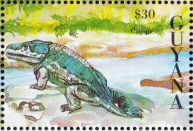 Cacops