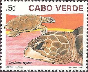 Stamp, Green Sea Turtle (Chelonia mydas), Cabo Verde,  , Turtles