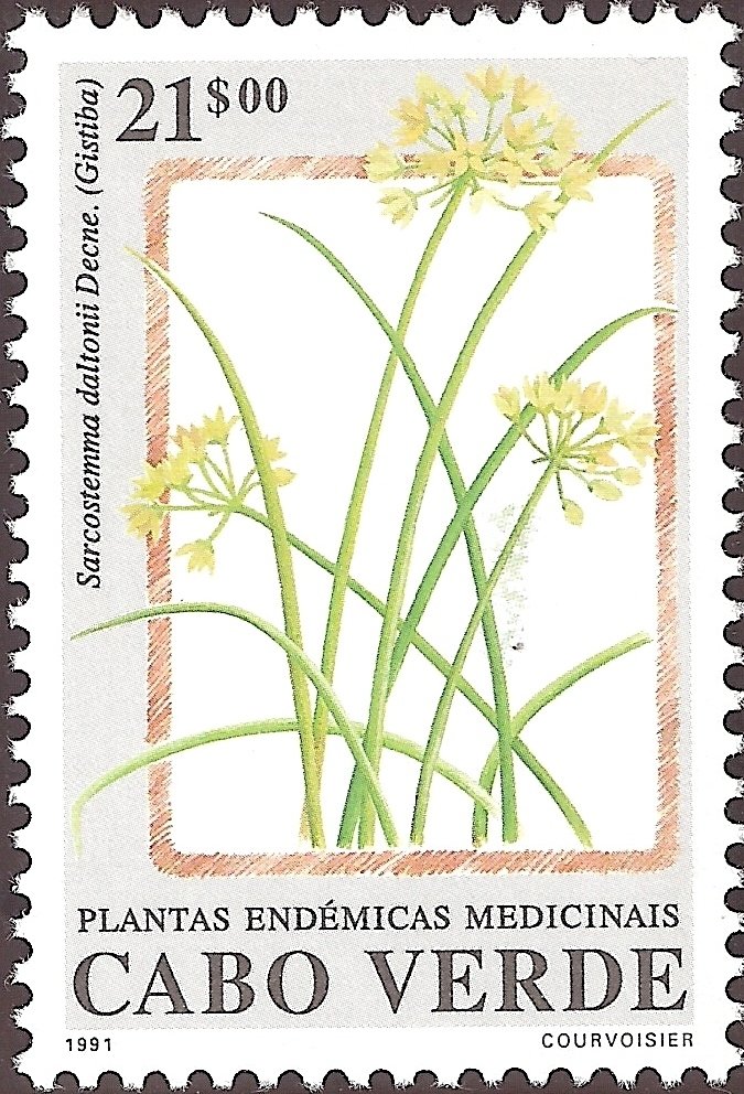 Endemic Medicinal Plants