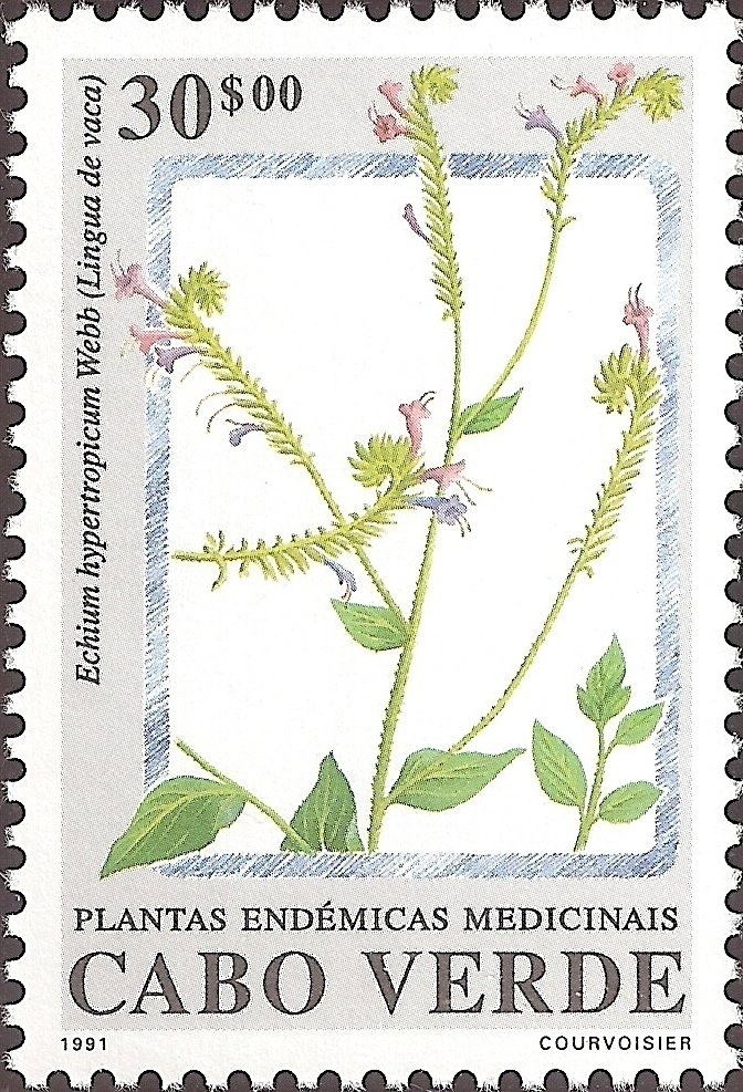 Endemic Medicinal Plants