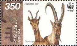 Stamp, Bezoar Ibex (Capra aegagrus aegagrus), Armenia,  , Mammals, Goats, WWF, Animals (Fauna)