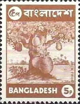 Stamp, Jackfruit tree (Artocarpus heterophyllus), Bangladesh,  , Trees, Fruits, Plants (Flora)