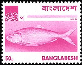 Stamp, Hilsa / Ilish Fish (Tenualosa ilisha), Bangladesh,  , Animals (Fauna), Fishes