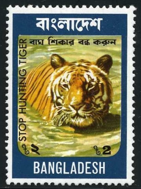 Bengal Tiger (Panthera tigris tigris)