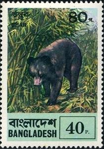 Stamp, Sloth Bear (Melursus ursinus), Bangladesh,  , Animals (Fauna)