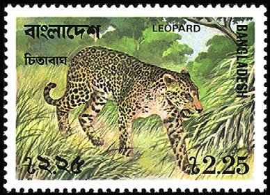 Stamp, Indian Leopard (Panthera pardus fusca), Bangladesh,  , Animals (Fauna)