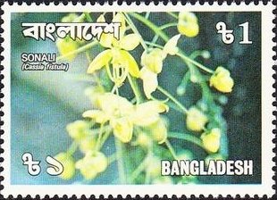 Cassia fistula
