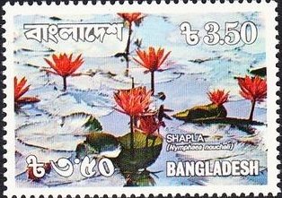 Stamp, Nymphaea nouchali, Bangladesh,  