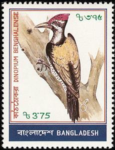 Stamp, (Diropium benghalense), Bangladesh,  , Birds, Animals (Fauna)