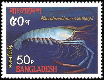 Stamp, Giant River Prawn (Macrobrachium rosenbergii), Bangladesh,  , Fishes