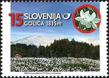 Mountains - GOLICA, 1835 m 
