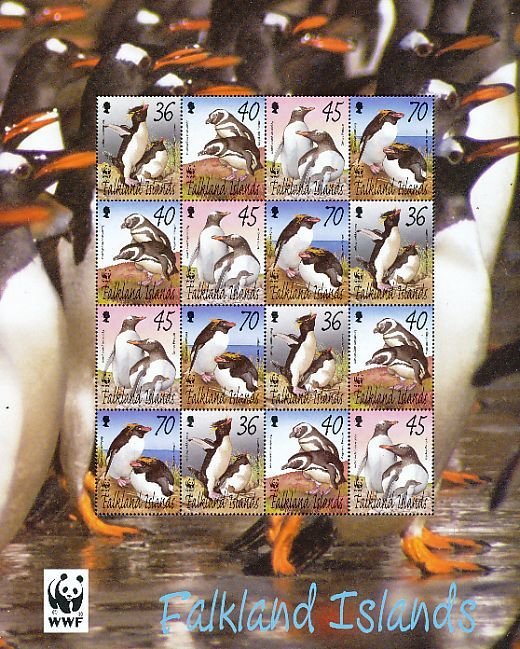 Rockhopper Penguin (Eudyptes chrysocome)