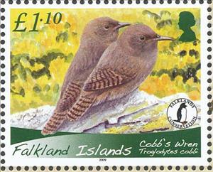 Stamp, Cobb's Wren (Troglodytes cobbi), Falkland Islands,  , Birds, Animals (Fauna)