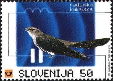 Radio cuckoo