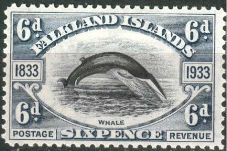 Blue Whale (Balaenoptera musculus)