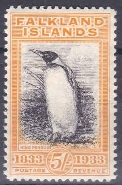 King Penguin (Aptenodytes patagonicus)