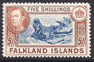 Stamp, South American Sea Lion (Otaria byronia), Falkland Islands,  , Mammals, Sea (Marine) Mammals, Animals (Fauna), Seals (Animals)