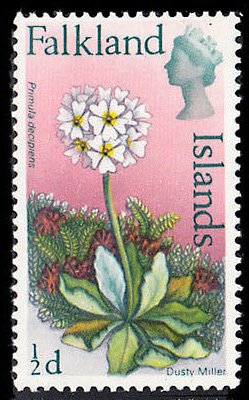 Flower Definitive