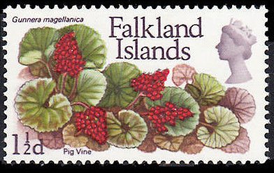 Stamp, Flower Definitive, Falkland Islands,  , Flowers