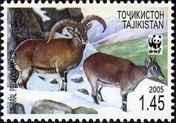Stamp, Bharal (Pseudois nayaur), Tajikistan,  , WWF, Animals (Fauna)