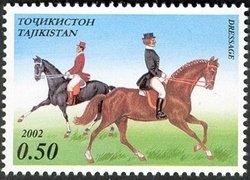 Dressage