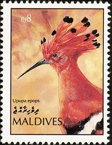 Stamp, Eurasian Hoopoe (Upupa epops), Maldives,  , Birds, Animals (Fauna)