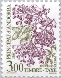 Stamp, Black elder (Sambucus nigra), Andorra, French Administration,  , Fruits, Plants (Flora)