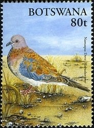 Stamp, Namaqua Dove (Oena capensis), Botswana,  , Birds