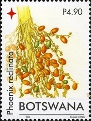 Stamp, Palm Trees - Phoenix reclinata, Botswana,  , Fruits, Plants (Flora)