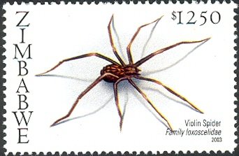 Stamp, Violin Spider (Loxoscelis sp.) , Zimbabwe,  , Spiders, Animals (Fauna)